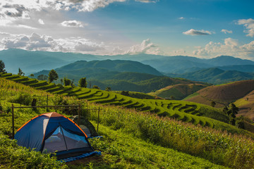 Green Terraced Rice Field in, Mae Chaem, Chiang Mai, Thailand