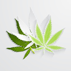 set of Marijuana or cannabis vector leaf