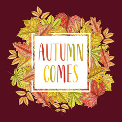 Hand drawn leaves composition. Autumn background. Vector illustration.