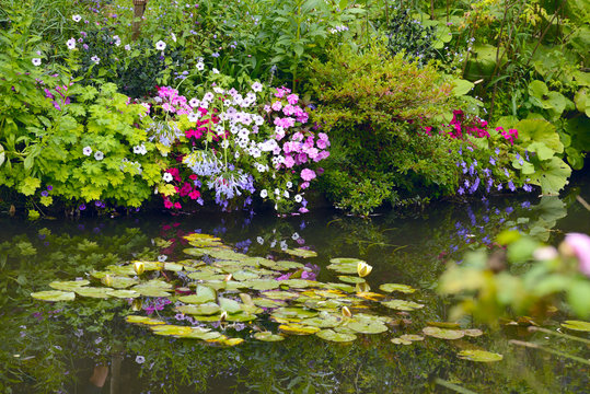 Beautiful Claude Monet's Garden of Giverny, lilies pond