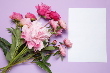 A bouquet of pink peonies and a sheet of white paper lies on a lilac background.