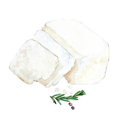 Ricotta cheese and rosemary. Watercolor hand drawn illustration. Isolated on white background.