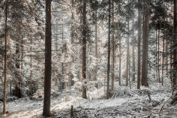 Winter landscape in Bavaria