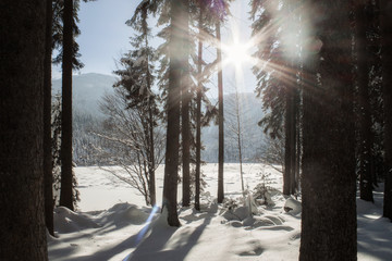 Winter landscape in Bavaria