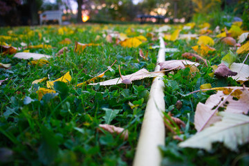 Gartenschlauch auf der Wiese