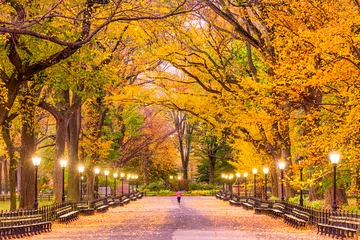 Gordijnen Central Park Herfst © SeanPavonePhoto