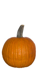 Kürbis isoliert auf weissem textfreiem Hintergrund im Hochformat