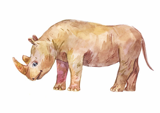 rhinoceros, vector watercolor