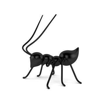 Ant 