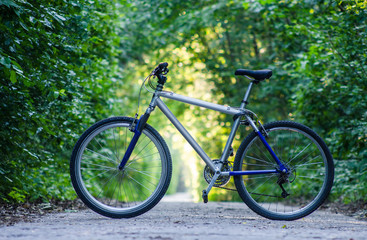 A bicycle stands on the road among the trees