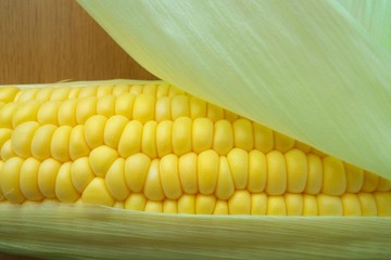 新鮮なとうもろこし