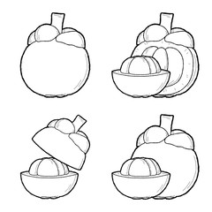 Mangosteen Vector Illustration Hand Drawn Fruit Cartoon Art