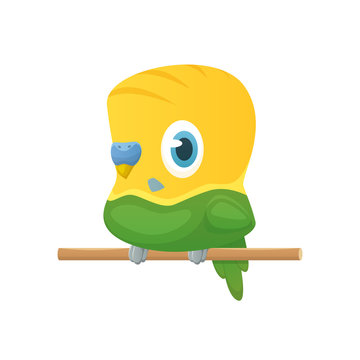 recommend clip art: Cartoon budgie vector isolated