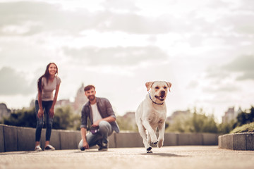 Couple on a walk with dog