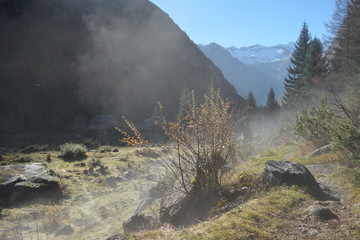 Val di Mello steam - 170846235