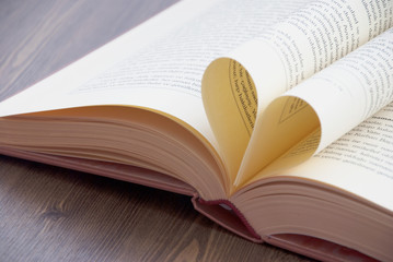 Love and book