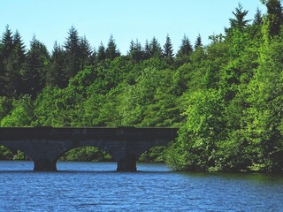 Fototapeta na wymiar Lake bridge