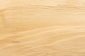 Wooden beech tree texture. Wooden background