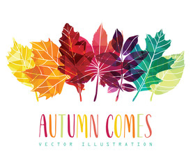  Hand drawn leaves composition. Autumn background. Vector illustration. © lisakolbasa