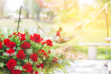 Red roses, Concept of relaxation in the garden