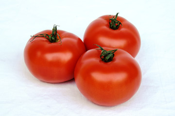 three tomatoes on a white background