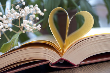 love and book