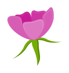 Fresh Flower Vector