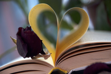 love and book