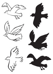 birds flying silhouettes
