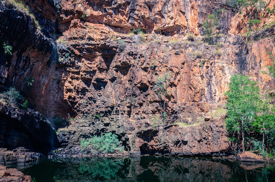 A remote the lily pond lagoon  Katherine Gorge, Northern Territory, Australia. 