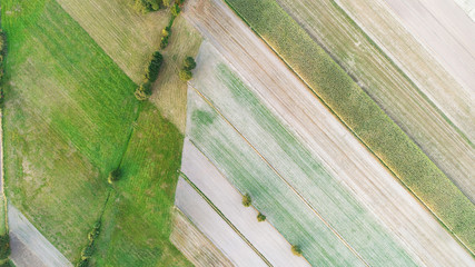 Aerial landscape with fields