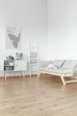 Wooden commode and comfortable sofa