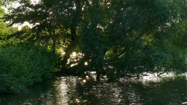 Glitzernde Sonne, Flu&szlig; und strahlendes Wasser, drau&szlig;en in der Natur