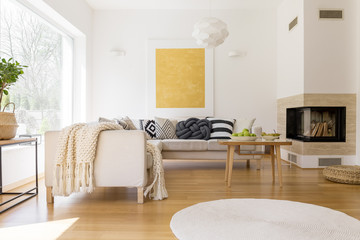 Black and white pillows