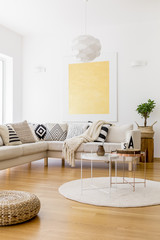 Plant in braided basket