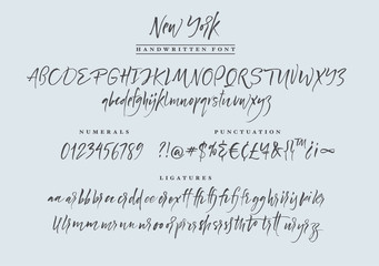 New York handwritten font. Script. 