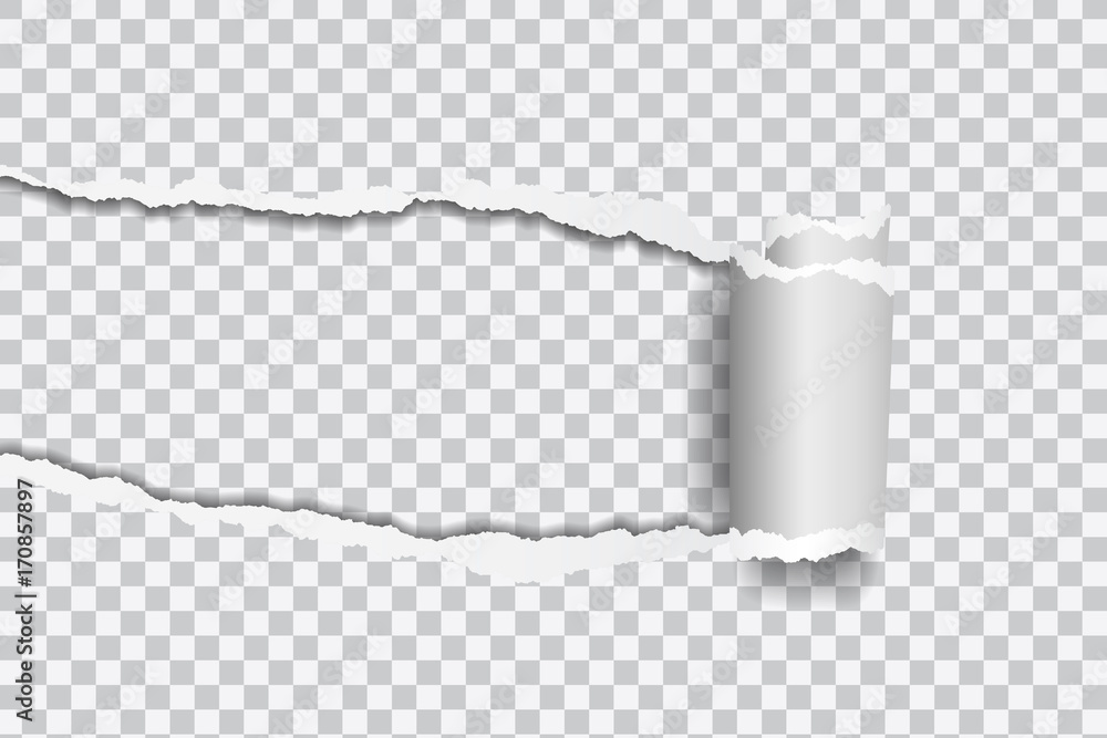 Poster vector realistic illustration of torn paper with rolled edge on transparent background