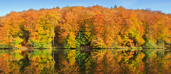 Forest lake in colorful autumn forest.