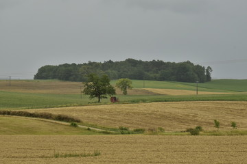 Fototapeta na wymiar Parcelle boisée au sommet d'une colline de champs sous un ciel de pluie près de Fontaine, au Périgord Vert