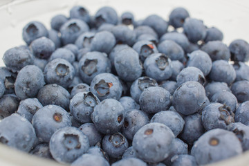 Fresh close up blueberries