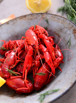 Boiled crayfish