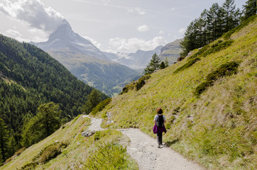 Fototapeta premium Zermatt, Dorf, Findeln, Findelbach, Sunnegga, Wanderweg, Wanderferien, Wallis, Alpen, Matterhorn, Lärchenwald, Sommer, Schweiz