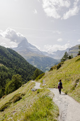 Fototapeta na wymiar Zermatt, Dorf, Findeln, Weiler, Sunnegga, Findelbach, Findelbachschlucht, Wanderweg, Alpen, Matterhorn, Wallis, Sommer, Schweiz