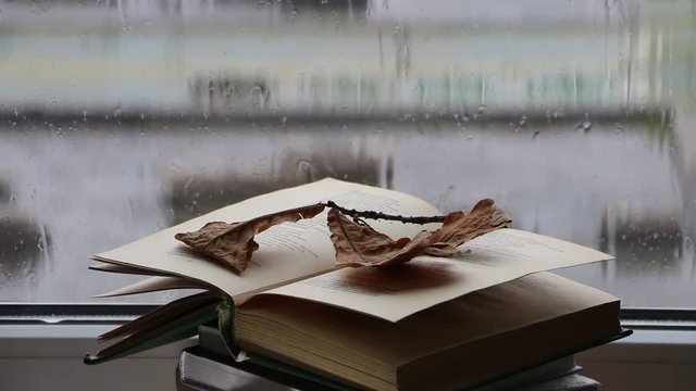reading books by the window on a rainy autumn day
