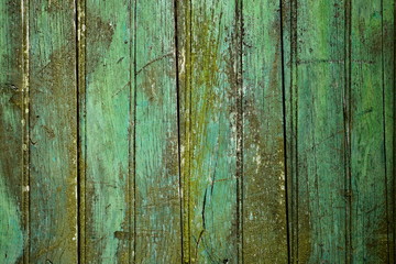 Fototapeta na wymiar Green weathered wooden planks