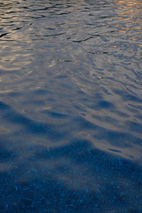 swimming pool in the sunset