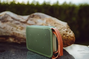 Portable small wireless speaker playing in a park