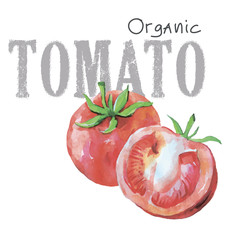 Watercolor vegetables organic vector tomato isolated on white background