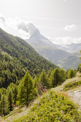 Obraz premium Zermatt, Dorf, Findeln, Sunnegga, Findelbach, Findelbachschlucht, Wanderweg, Alpen, Matterhorn, Zmuttgletscher, Wallis, Sommer, Schweiz