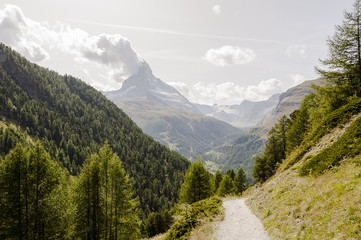 Zermatt, Findeln, Sunnegga, Findelbach, Wanderweg, Alpen, Matterhorn, Wallis, L&auml;rchenwald, Zmutt, Gletscher, Sommer, Schweiz